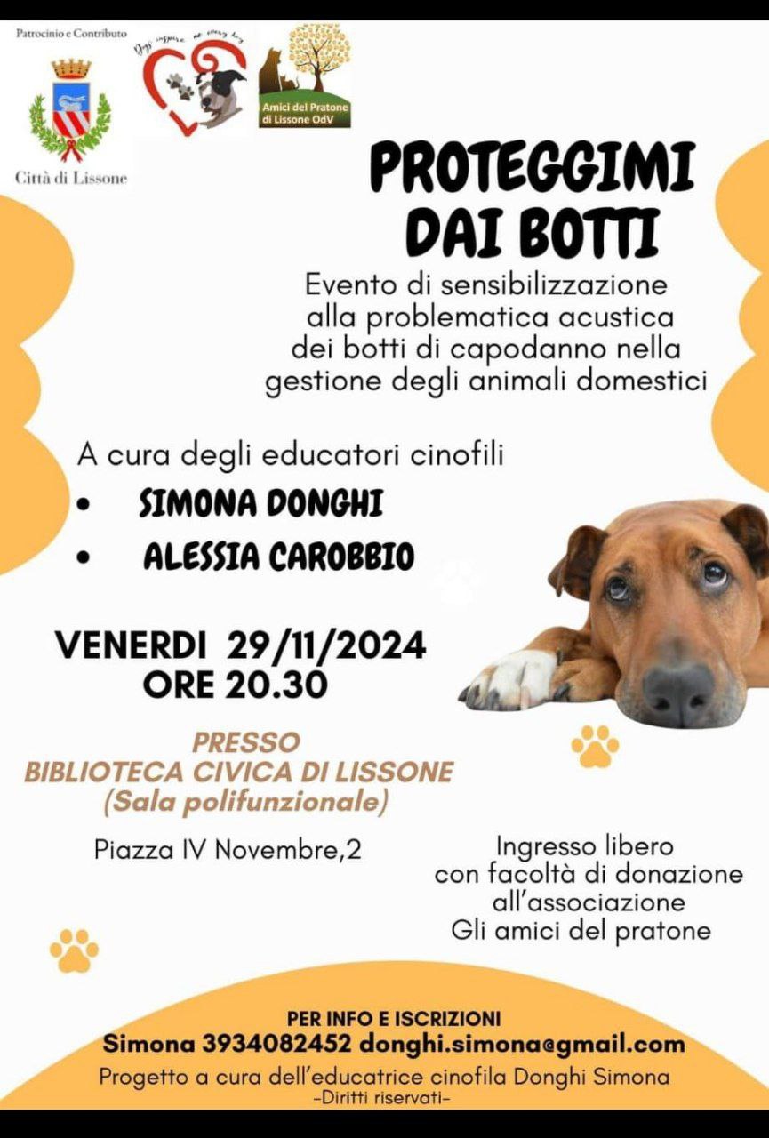 29 novembre – “Proteggimi dai botti”