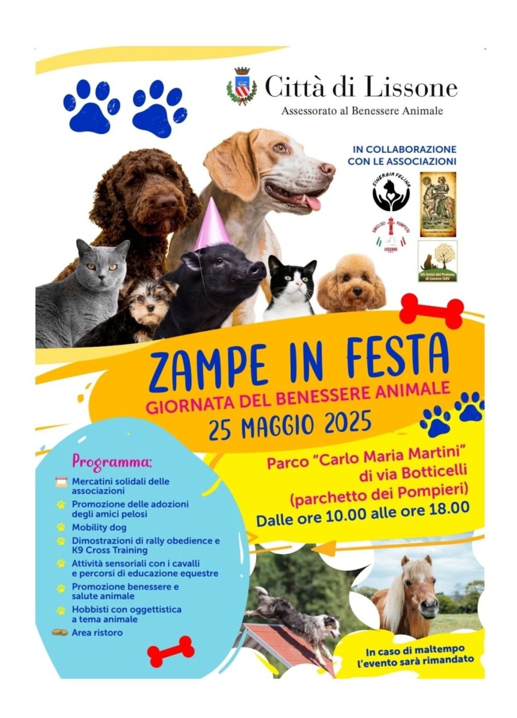25 maggio – Zampe in festa