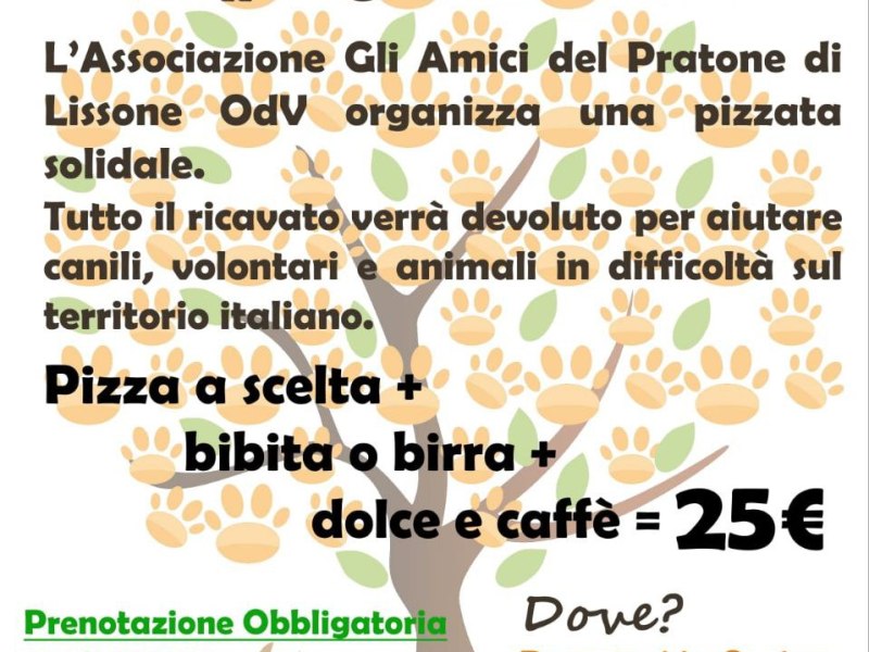 20 Giugno – Piazzata&nbsp;Solidale